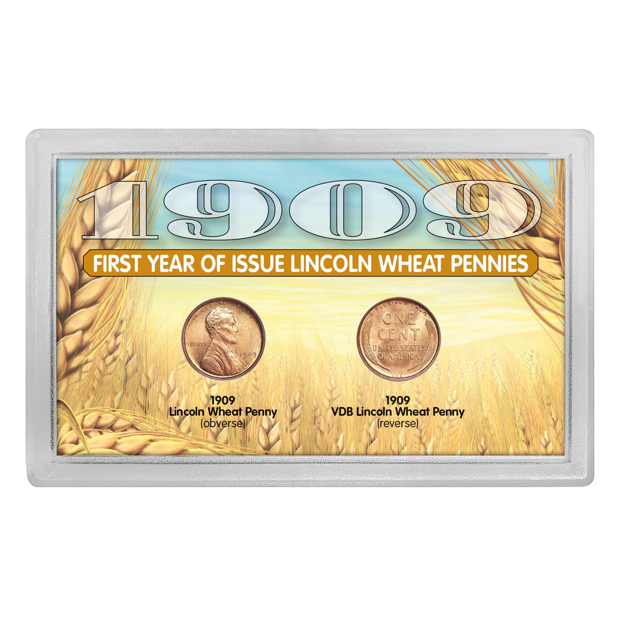 1909 and 1909 VDB â€œFirst-Year of Issue" Lincoln Wheat-Ear Pennies