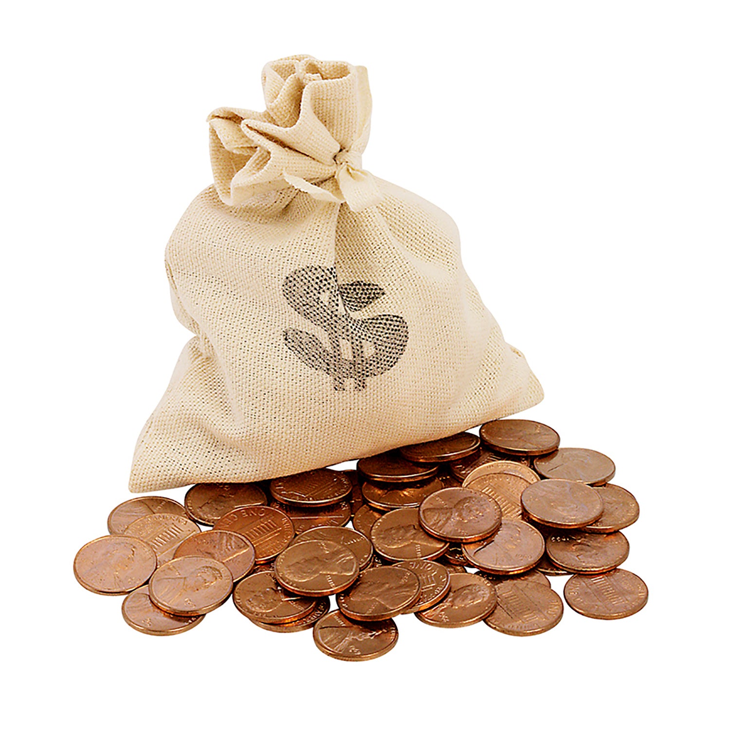 Lincoln Penny Bankers Bag Beginner Coin Set