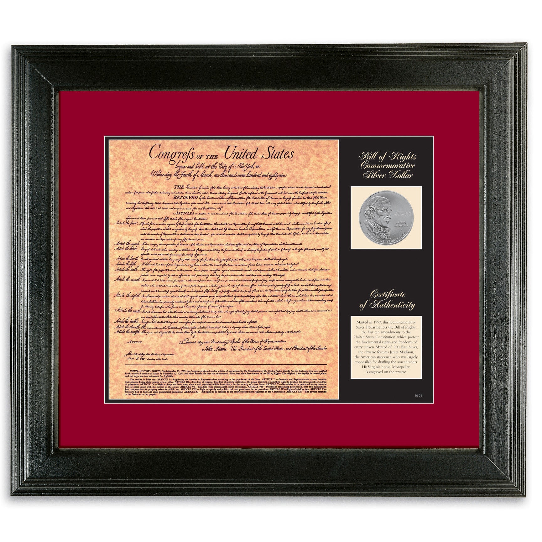 Birth of a Nation - Bill of Rights