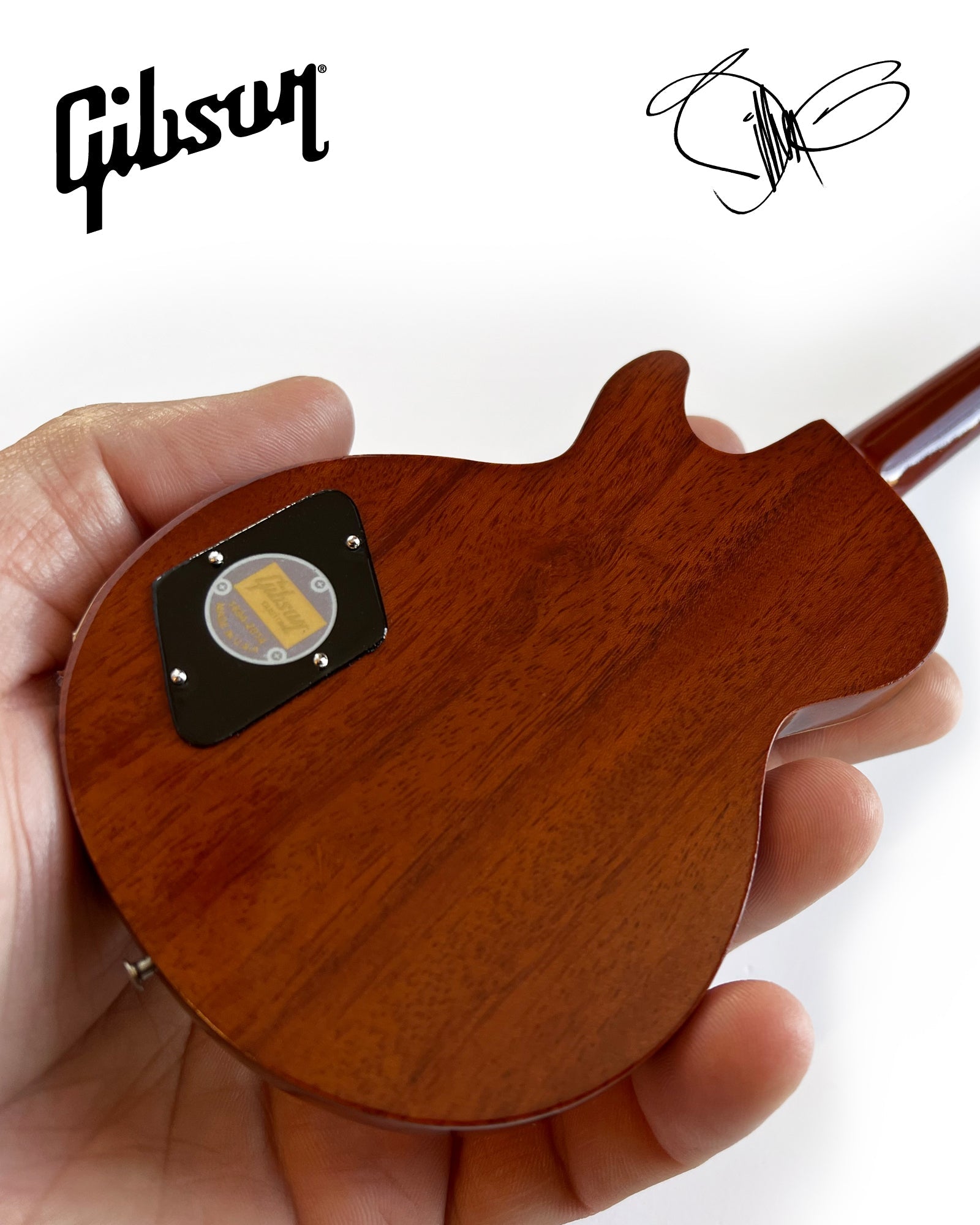 FranklinMint.com | Billy F Gibbons 